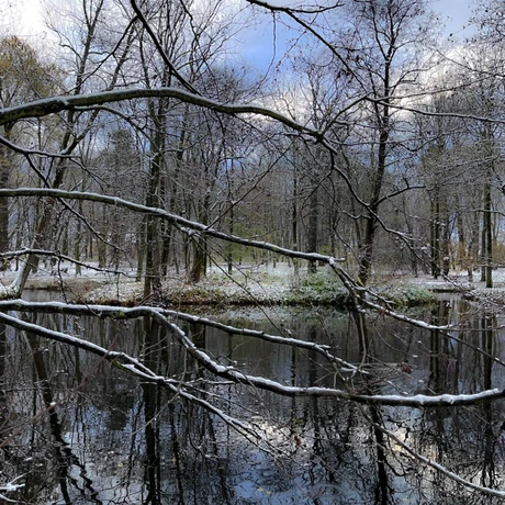 Zima 2023. Pierwszy śnieg w Rzeszowie [Park im. Szafera] - fot 11